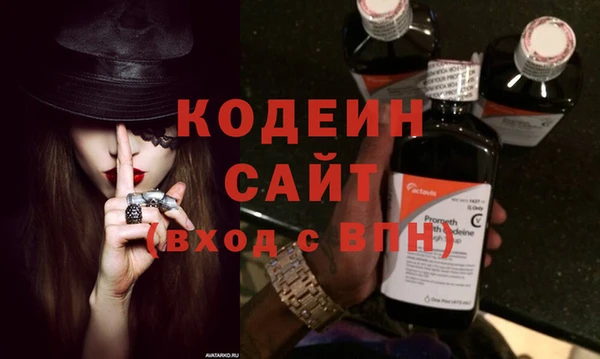 молекула духа Лабытнанги