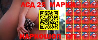 дмт Краснодар