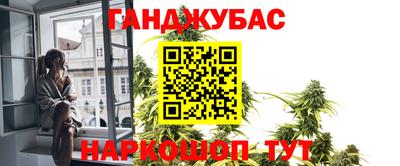 дмт Краснодар