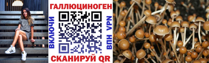 как найти закладки  МЕГА зеркало  Галлюциногенные грибы MAGIC MUSHROOMS  Муравленко 