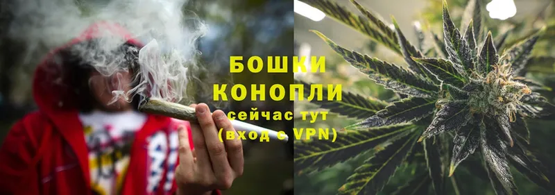 Каннабис White Widow  Муравленко 